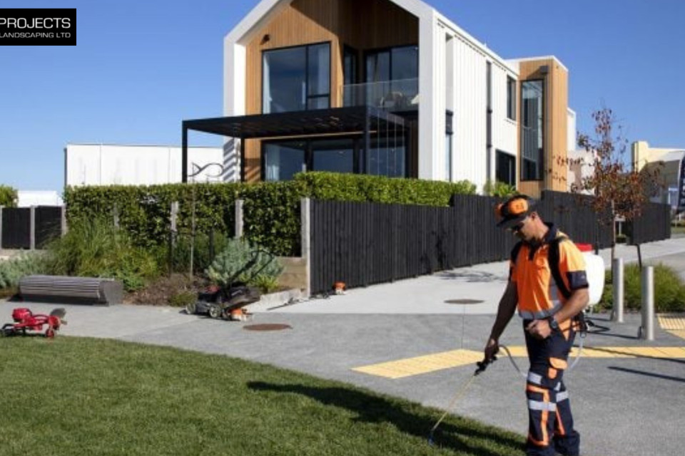 Grounds Maintenance in Auckland